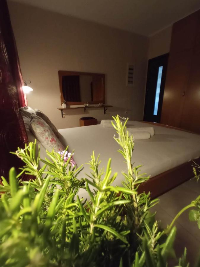 Villa Erasmia Dekarcho Exteriér fotografie