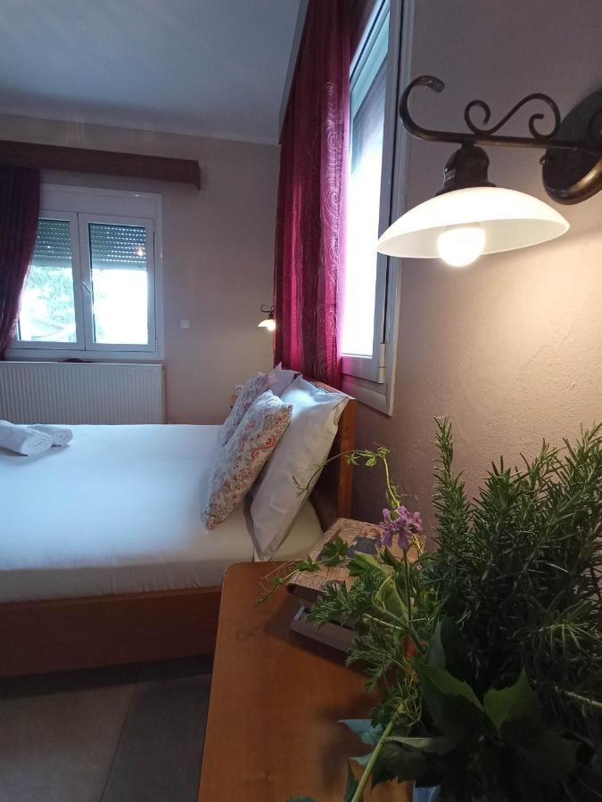 Villa Erasmia Dekarcho Exteriér fotografie